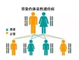 临床诊断实用指南《关于遗传性多囊肾疾病测序方案的选择》