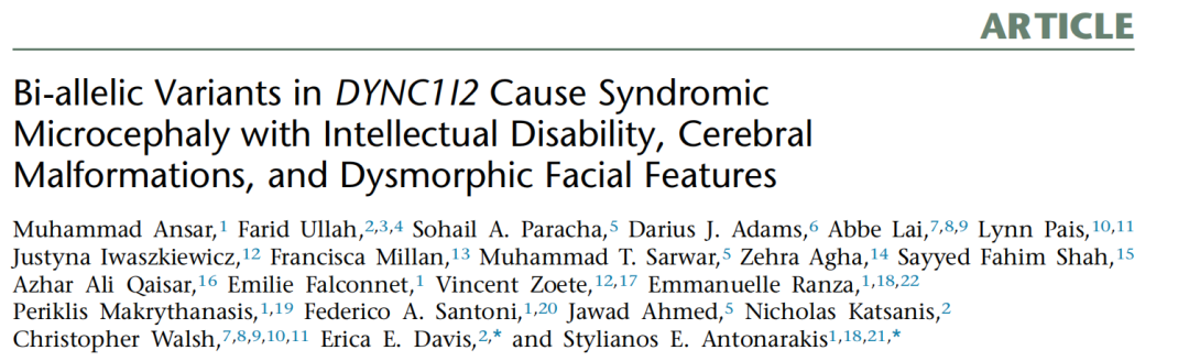 AJHG | DYNC1I2 双等位基因变异导致小头畸形综合征
