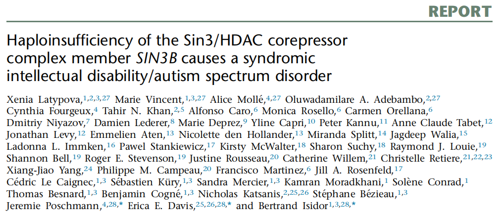 AJHG | Sin3/HDAC复合物成员SIN3B单倍体不足导致智力残疾综合征及自闭症
