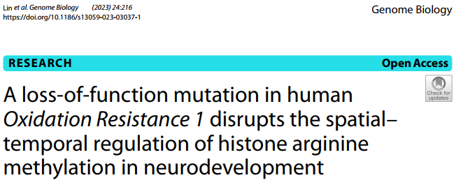 Genome Biol. | OXR1基因功能缺失破坏了神经发育中组蛋白精氨酸甲基化的时空调控