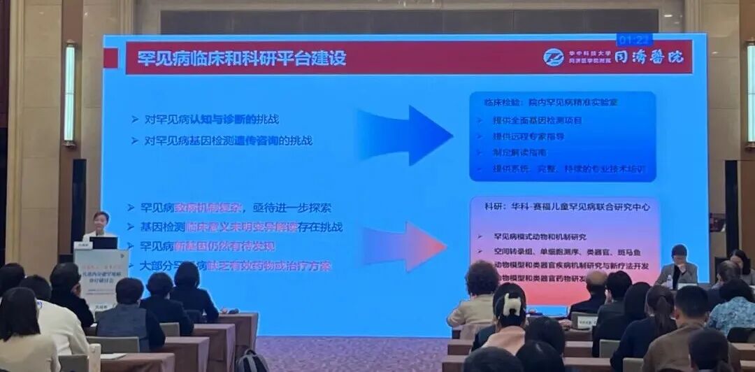 1767593623120506.jpg 640 (2).jpg